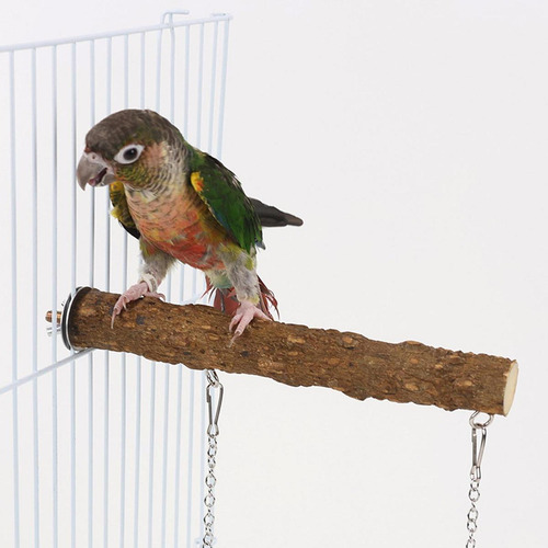 Pájaro De Madera Swing Bird Jage Swing Hanging Gym Gywing
