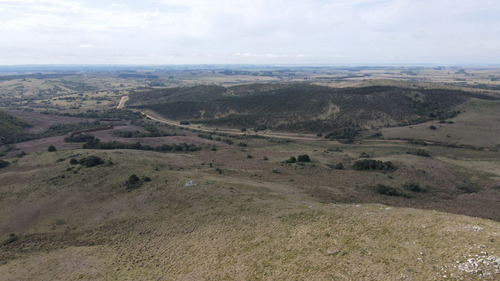 Campo En Rocha 78ha (ref: Atm-6768)