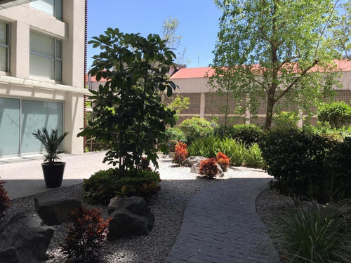 Remate De Grande Departamento En San Pedro De Los Pinos, Cdmx, Du.