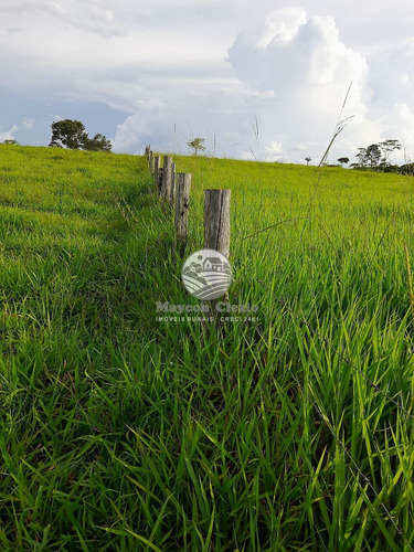 Imagem 5 de 8 de Venda Fazenda Machadinho D'oeste Em Rondônia - Faz313