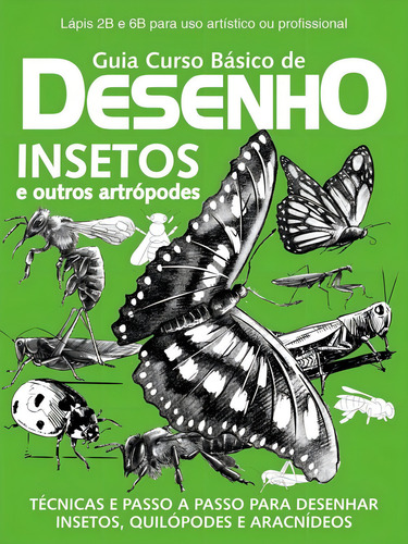 Guia Curso básico de desenho insetos: Insetos e Outros Artrópodes - Guia Curso Básico de Desenho, de IBC - INSTITUTO BRASILEIRO DE CULTURA LTDA. Indefinido Editorial On Line Editora, capa mole, edição 1 em português, 2018