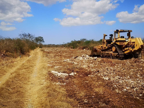 Imagen 9 de 20 de Lotes Residenciales De Inversión En Habinta Cerca De Chicxu