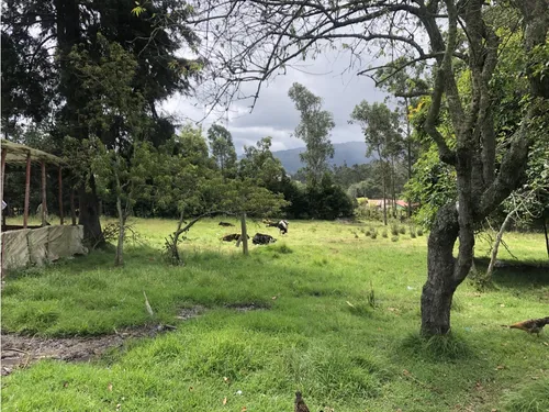 Vendo Lote En Tocancipa