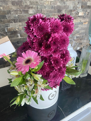 Flores De Oso Fucsia