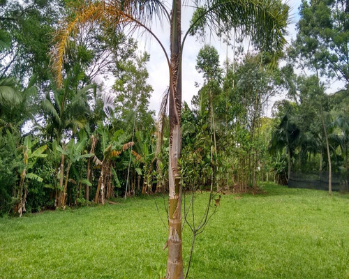 Chácara 1.500 M² - Palermo - Gravataí - Rs - 1083 - 32419604
