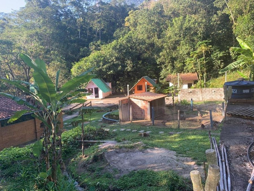Imagem 7 de 30 de Chácara Em Caneca Fina, Guapimirim/rj De 10900m² 3 Quartos À Venda Por R$ 550.000,00 - Ch421832-s