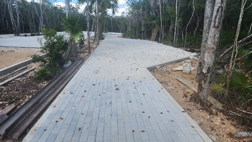 Kalma Tulum, Venta De Terrenos, Precioso Desarrollo De 135 Lotes En Tulum
