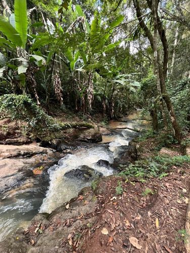 Lotes Em Cotia - Caputera