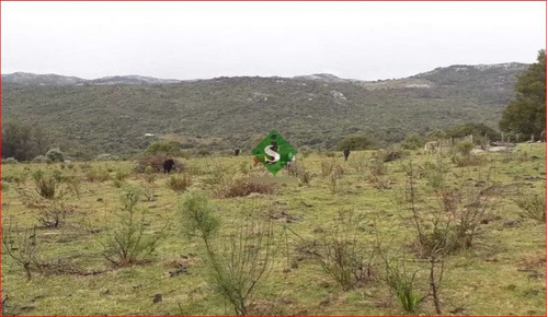 Imagen 8 de 13 de Venta De Campo Zona De Aigua, 121 Hectareas, Con Buen Acceso, Aguadas.