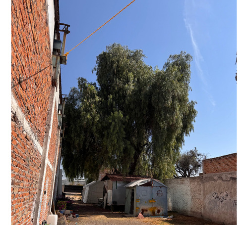 Bodega En Venta Felipe Carrillo Puerto - Querétaro