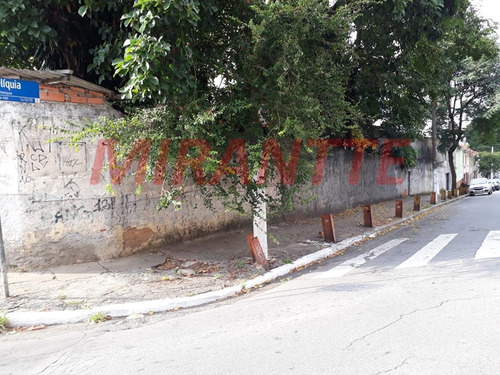 Imagem 2 de 8 de Terreno Em Casa Verde - São Paulo, Sp - 359252