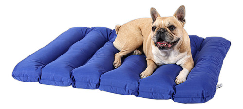 Cama Perro Pet2go® Portátil Viaje - Enrollable 90x65cm Color Azul
