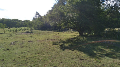 Imagen 6 de 6 de Quinta En Venta Chascomús.