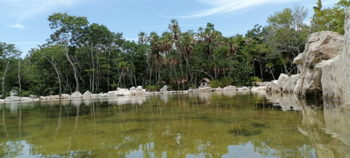 528 Tulum, Tulum, Quintana Roo, Lotes Residenciales Con Cenote Propio