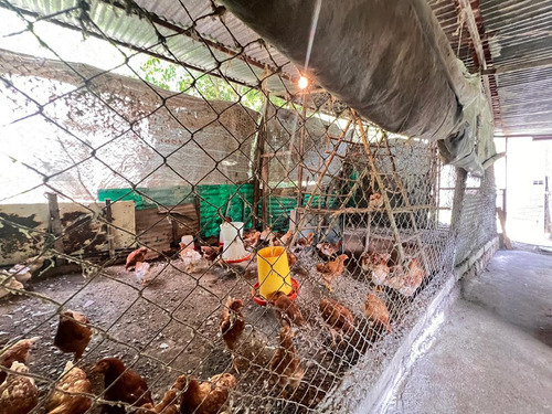 Finca Productiva - Vía Rubio - Sector Las Vegas