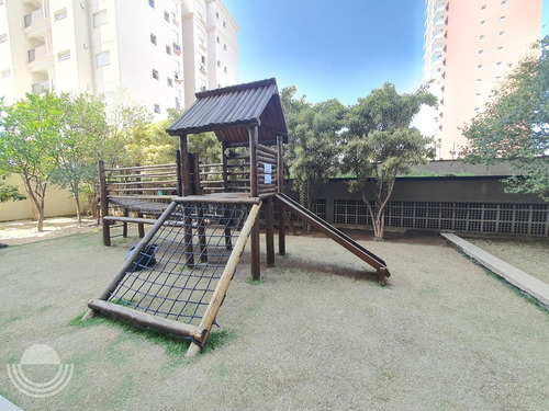Apartamento Para Aluguel Em Cambuí - Ap005878