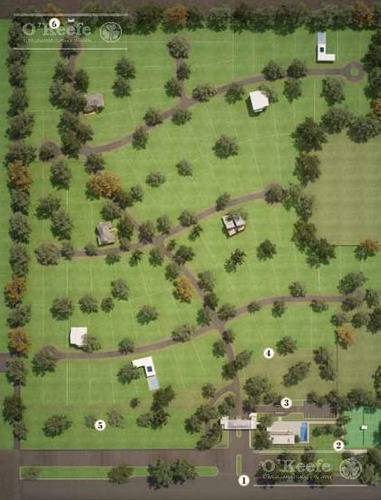 Tierra Para Desarrollo En Venta Sobre Ruta 3 Km 186, Las Flores