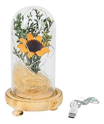 Para Lámpara De Girasol Encantada Con Forma De Girasol