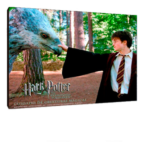 Cuadros Poster Harry Potter S 15x20 (php (2))