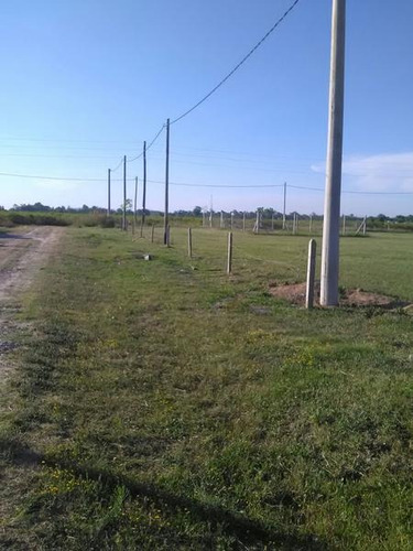 Imagen 6 de 7 de Terreno - Villa Elvira