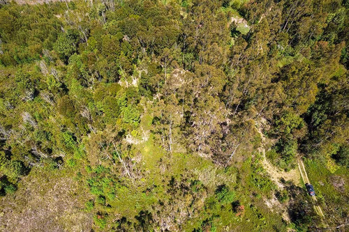Parcela De 6mil M2 En Minte - Puerto Varas