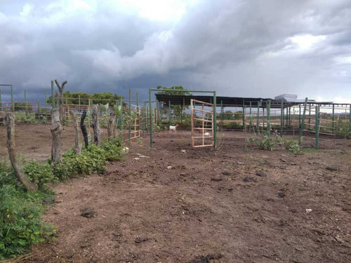 Imagen 14 de 19 de Finca De 1.410 Has En Guarico Para Actividad Agropecuaria.