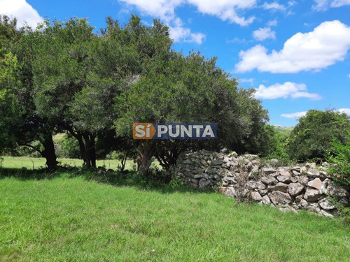 Imagen 16 de 22 de Linda Chacra De 5 Has En Las Cañas
