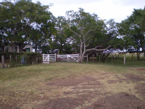 Imagen 7 de 9 de Campo Ganadero 977 Has En Artigas, Costas Del Pintado Grande