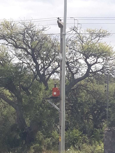 Imagen 7 de 11 de Campo De 350 Has.en San Luis , (gran Oportunidad) Dño Direct