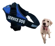 Comprar Correa Blanda Y Util Para Caninos M Azul Y+post-it Adhesivos