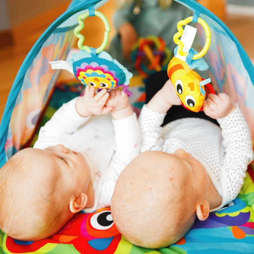 Imagen 4 de 5 de Playgro Bebé Honey Bee Bear Activity Tunnel Gym Didáctico