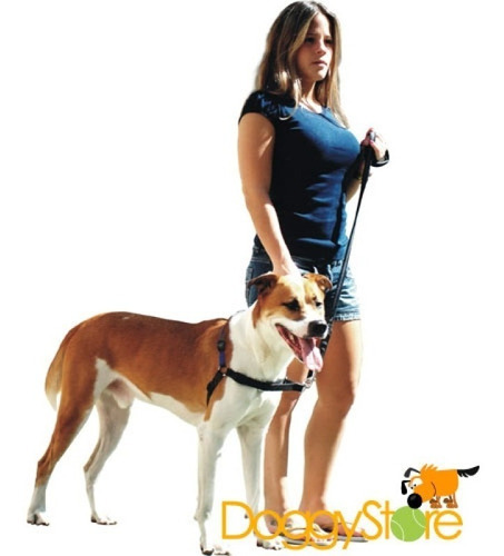 Peitoral K9 Spirit Treinamento Para Cães Preto - G