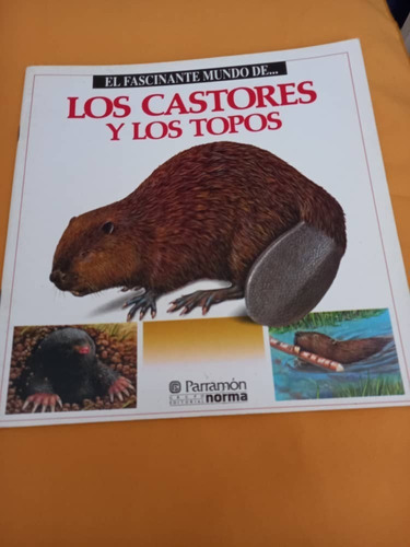 El Fascinante Mundo De ... Los Castores Y Los Topos