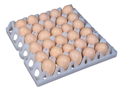 Cubeta Bandeja Plástica Para Huevos Incubadora X5 Unidades