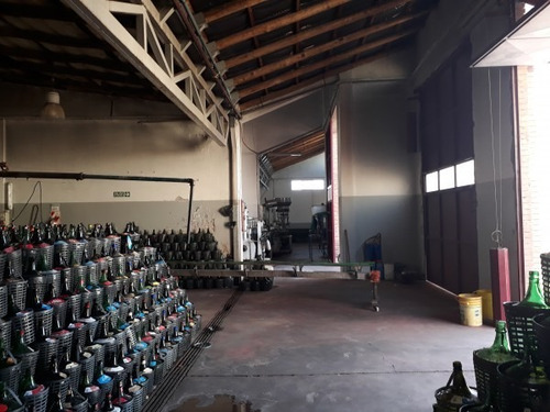 Vendo Bodega Con Viñedos Y Elaboración Propia