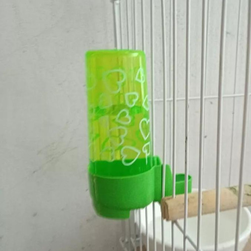 Kit Para Calopsita Bebedouro De 100ml E Comedouro Verde