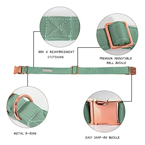 Lionet Paws Collar Para Perro Con Pajarita, Cómodo Collar D