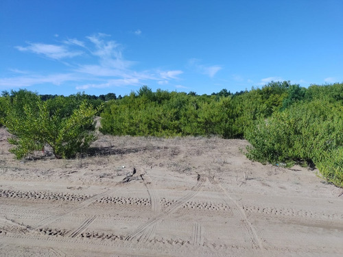 Imagen 4 de 5 de Se Vende Terreno En Costa Esmera - Senderos 4