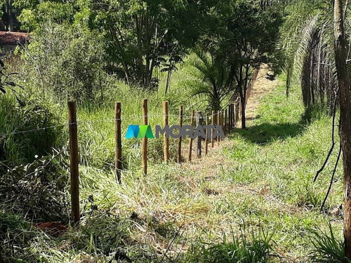 Imagem 1 de 4 de Terreno / Area - Zona Rural - Ref: 5143 - V-mta5143