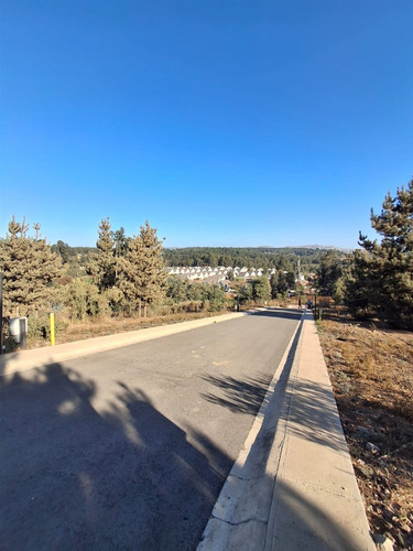 Espectaculares Sitios Planos I Condominio I Los Pinos Reñaca