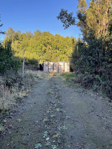 Terreno De 5000m2 Con Bosque Nativo
