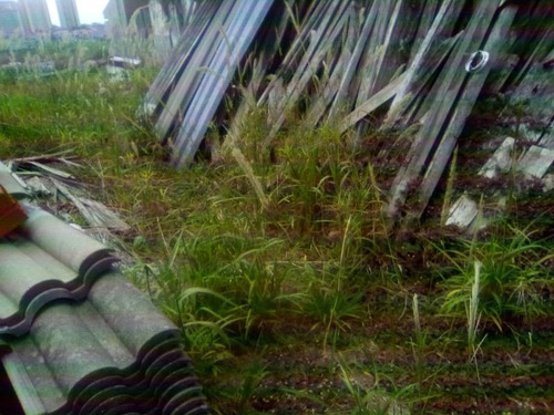Imagem 10 de 10 de Ref.: 17610 - Terreno Em Osasco Para Venda - 17610