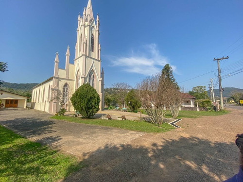 Imagem 8 de 8 de Terreno À Venda, 1545 M² - Picada Cara - Feliz/rs - Te0453