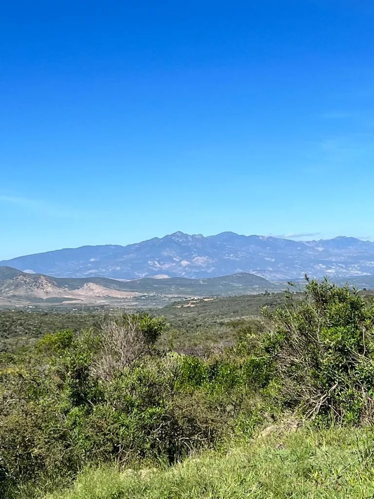 Se Venden Terrenos En Ixmiquilpan En Hacienda Real 1800