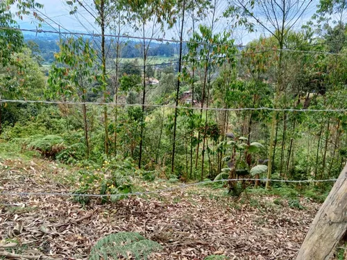 Lote En Venta Ubicado En Rionegro (26716).