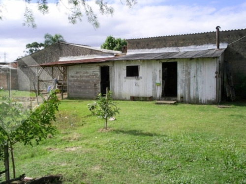 Imagem 7 de 15 de Chacara/fazenda/sitio - Restinga - Ref: 192994 - V-192994