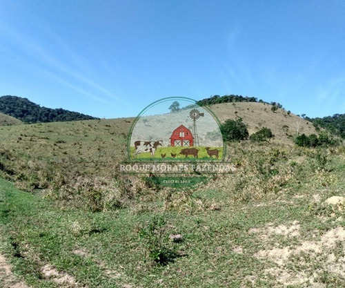 Imagem 25 de 29 de Fazenda Medindo 103 Alqueires Paulista No Vale Do Ribeira Sp Ref.: 0372