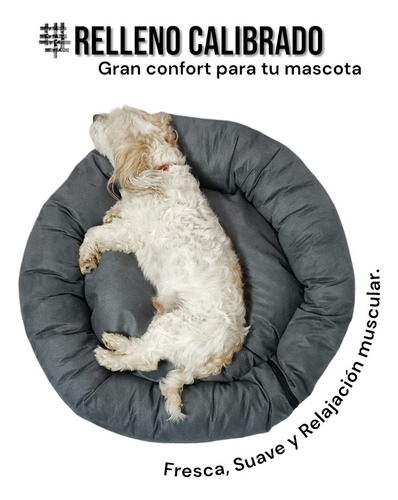 Cama Para Perro Fresca Y Cómoda Grande De Color Gris