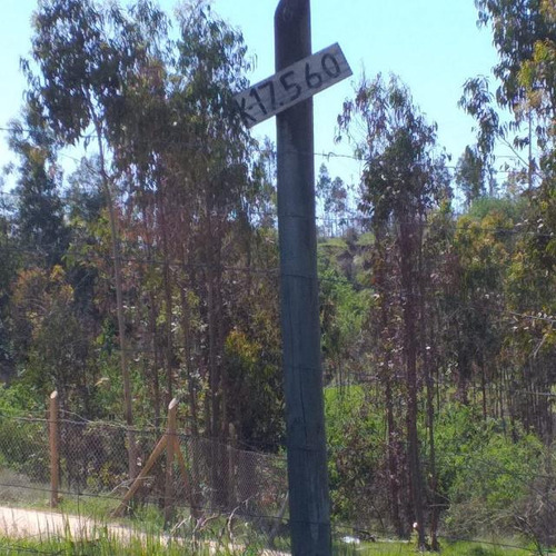 Parcela Camino Marchigue/comuna Rapel La Estrella