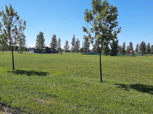 Imagen 4 de 14 de Terreno Fraccion En Venta Ubicado En Chacras Fincas De San Vicente, San Vicente, G.b.a. Zona Sur